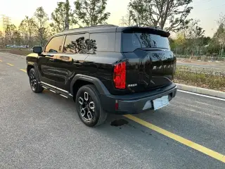 Haval Cool Dog 2022 noir de trois quarts arrière — véhicule importé de Chine par Chine Direct Auto